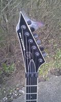 VGS Screech Pro  EMG 81TW/89  Floyd Rose  mit Koffer