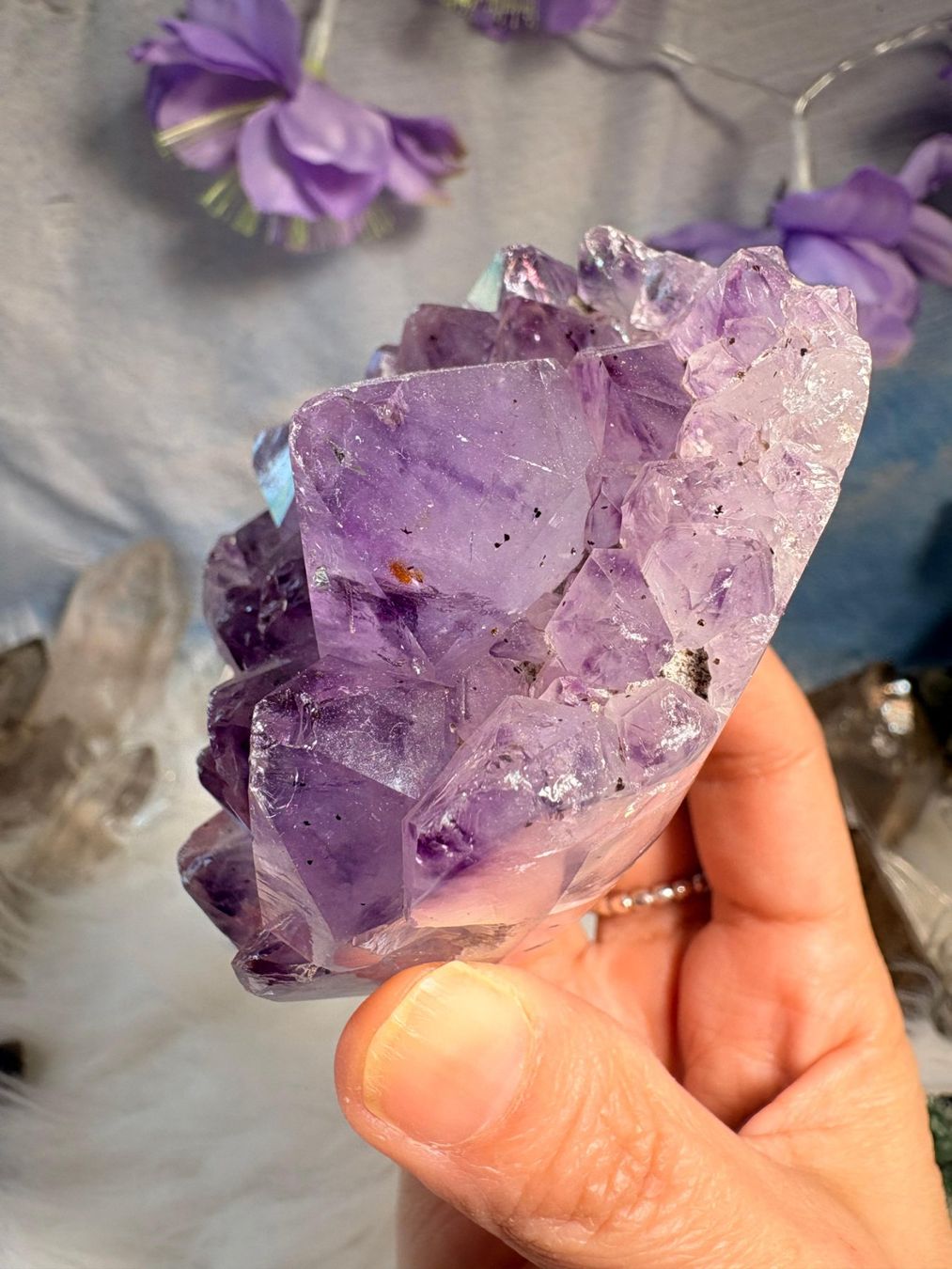 Minerali & Pietre curative: Amethyst Geode – Nuovo (secondo la descrizione) da Neuheim venduto da m.hald 7