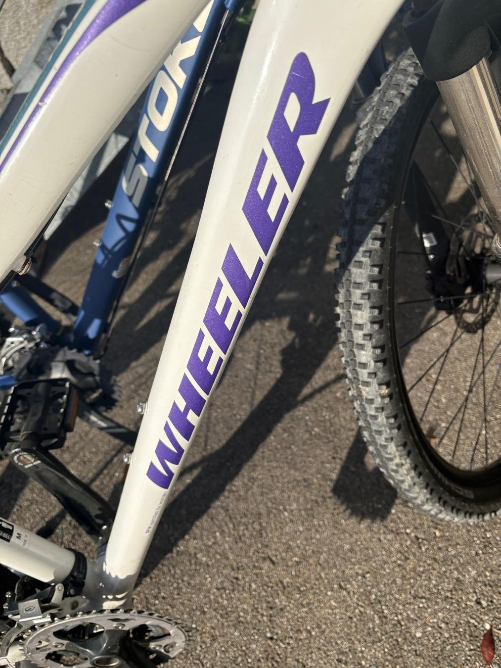 Biciclette: Wheeler Passera XT-20 Mountainbike – Usato da Wangen b. Olten venduto da Eyluelgoek 2