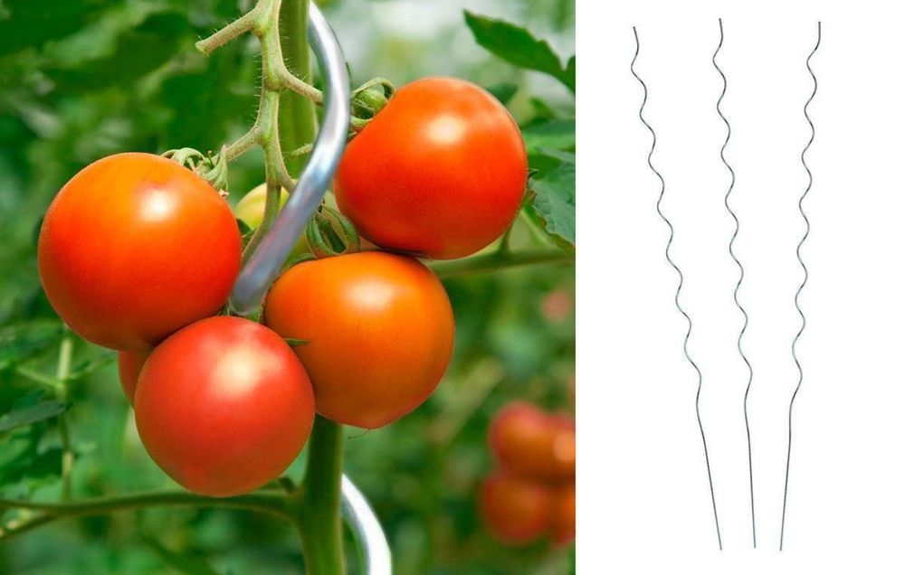 Pflanzstab, Rankhilfe, Tomatenstab, Tomaten  mehrere 1,20m- 3