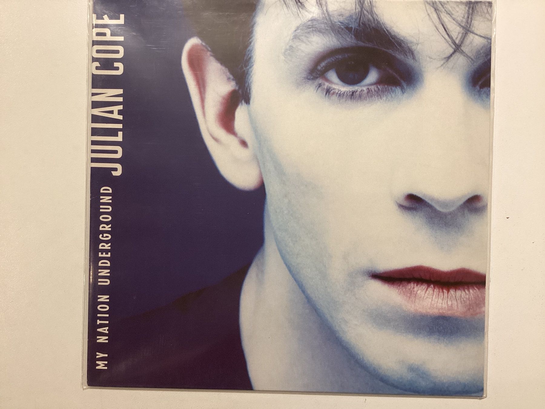 Dischi in vinile: Julian Cope LP - My Nation Underground – Usato da Gutenswil venduto da Hamzian