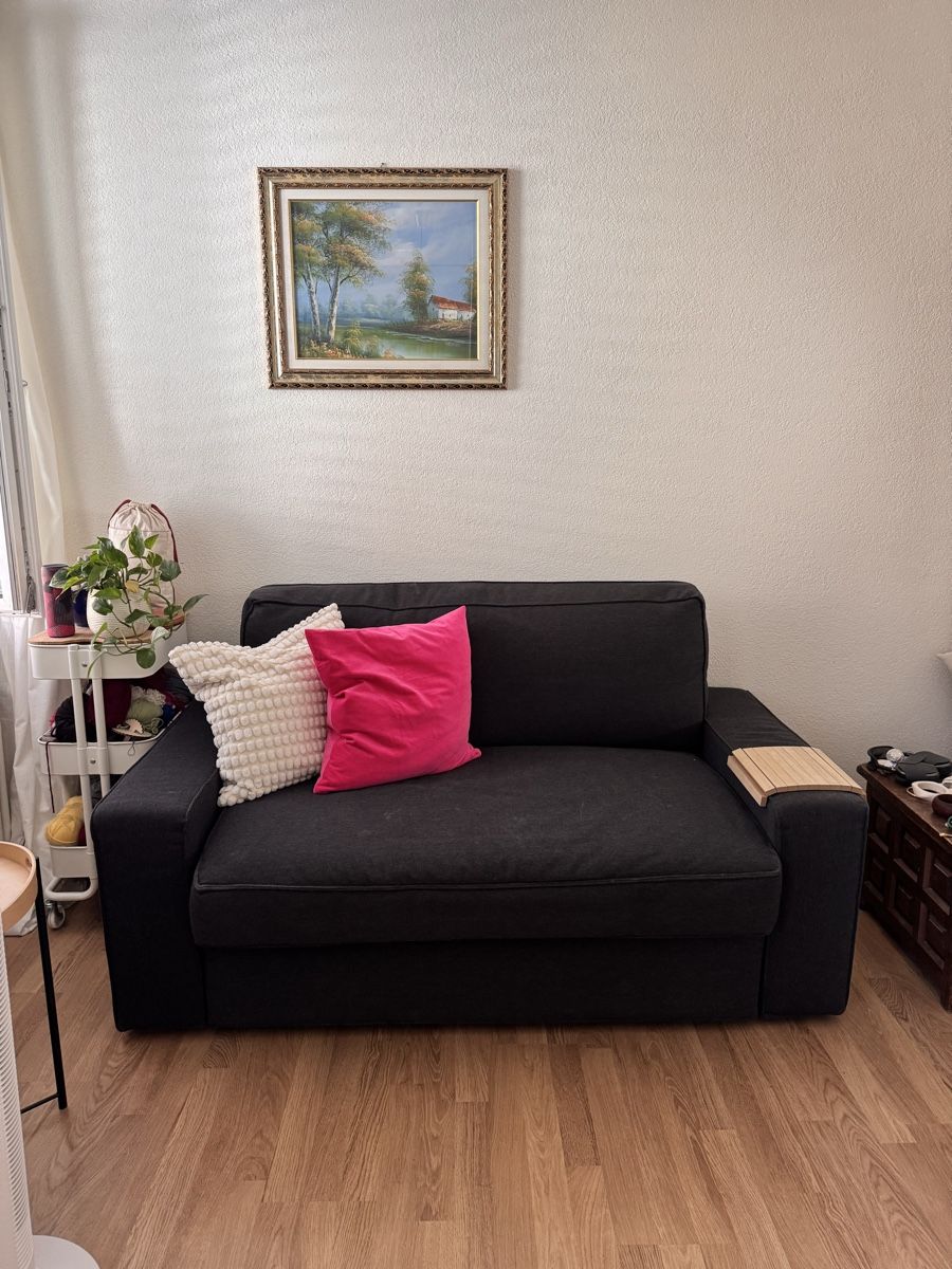 Sofas: Sofa mit Schlaffunktion – Gebraucht aus Zürich von crazyblub