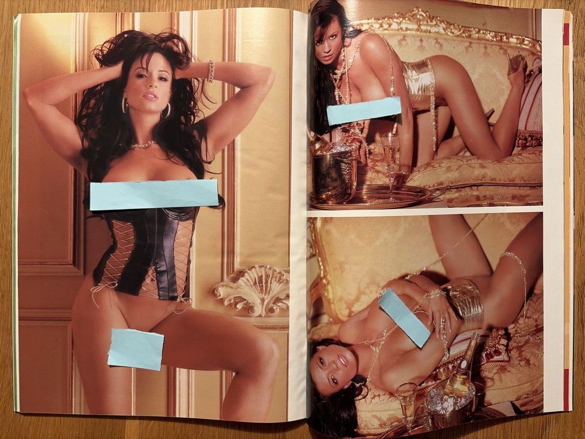 Riviste & Magazine: Playboy April 2006 Magazin  – Usato da Lengnau BE venduto da tho_8v9x 4