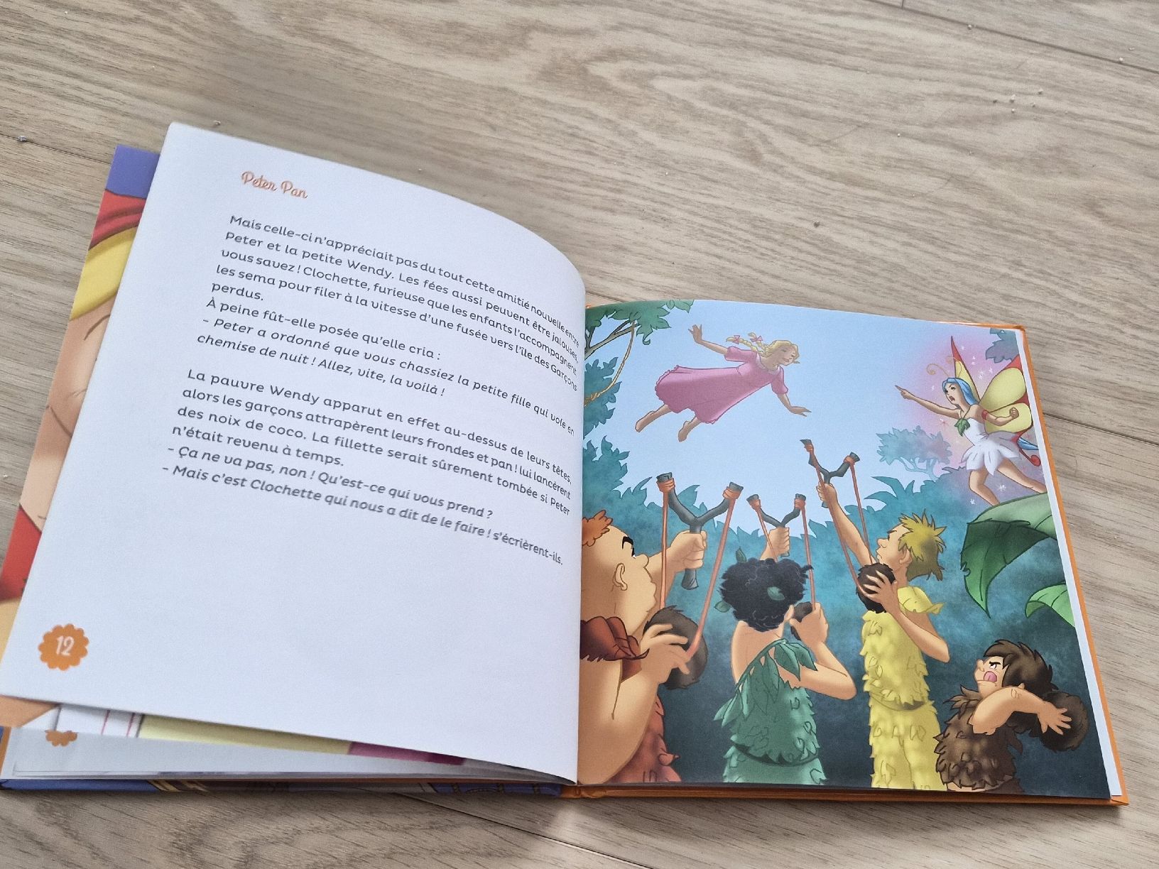 Livres: Livre Peter Pan sans CD audio – D'occasion à La Joux FR par car_ck96 3