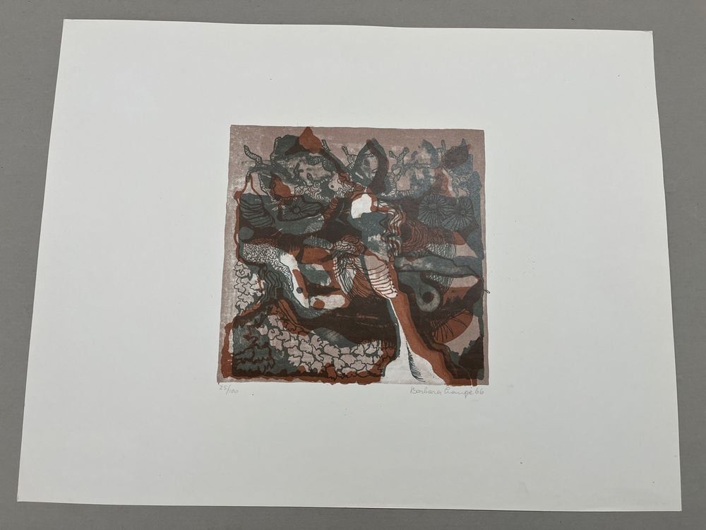 Grafica & Litografie: BARBARA LANGE LITHOGRAPHIE SIGNIERT NUMMERIERT – Usato da Gersau venduto da grafik-kunst 2