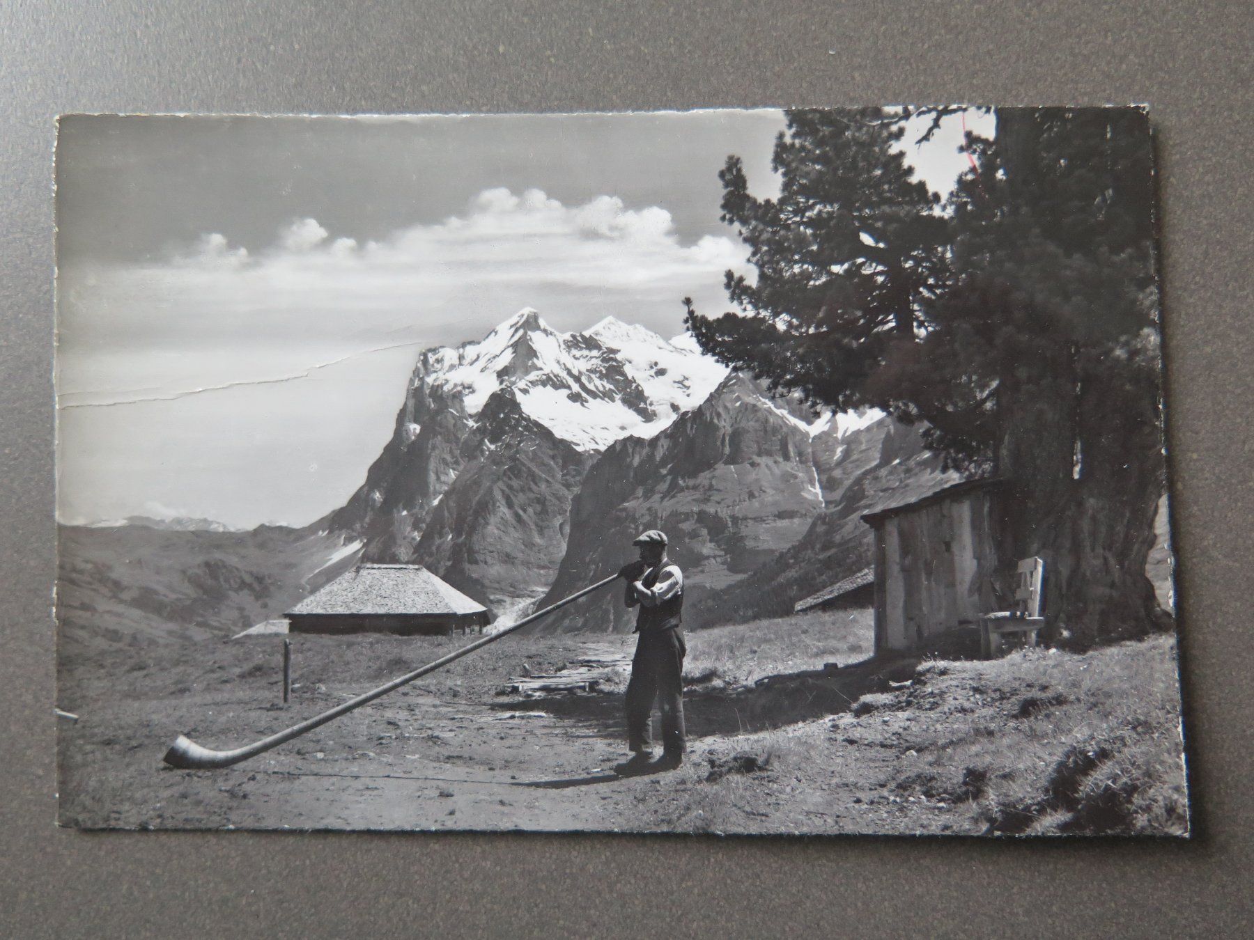 Cartoline postali: GRINDELWALD - ALPHORNBLÄSER – Usato da Wittenbach venduto da lipasal