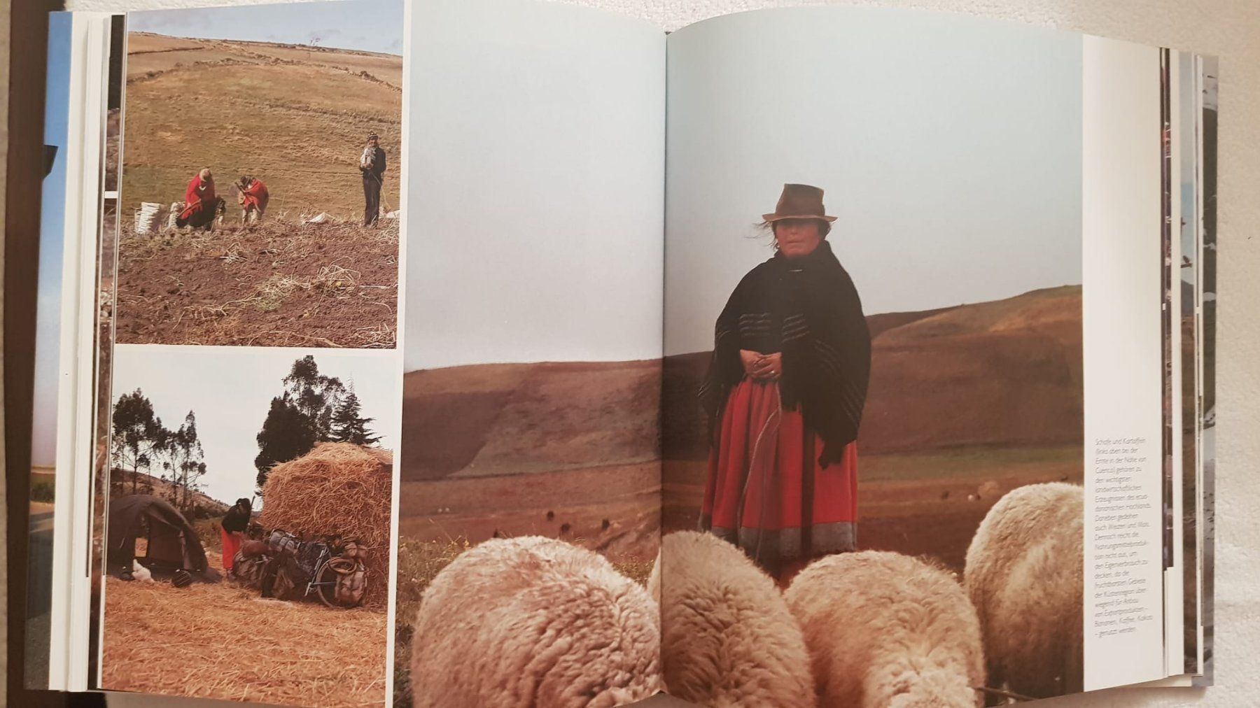 Bücher: Mit dem Velo von Kanada nach Chile – Gebraucht aus Spiegel b. Bern von sus_xj97 1