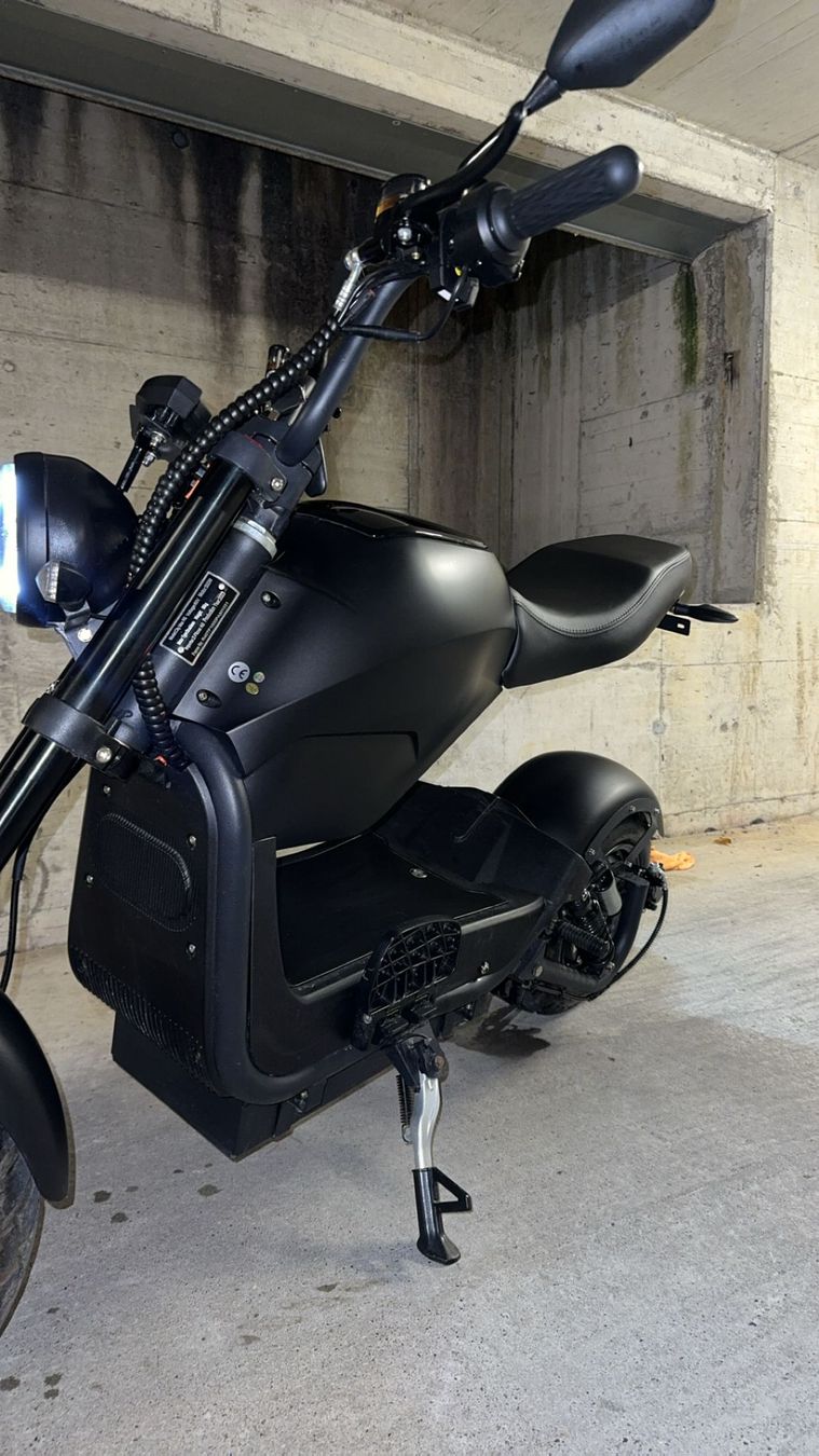 Züriflizzer Veicoli elettrici: Züriflizzer City Max RS Pro – Usato da Winterthur venduto da Godummu 7