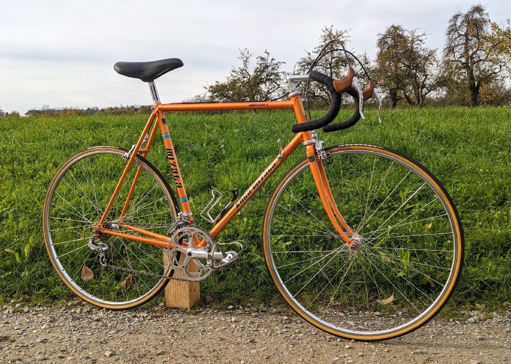 Koga Biciclette: Koga Miyata Gentluxe-S – Usato da Muolen venduto da Weltkulturerbe-Typ17