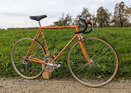 Koga Miyata Gentluxe-S