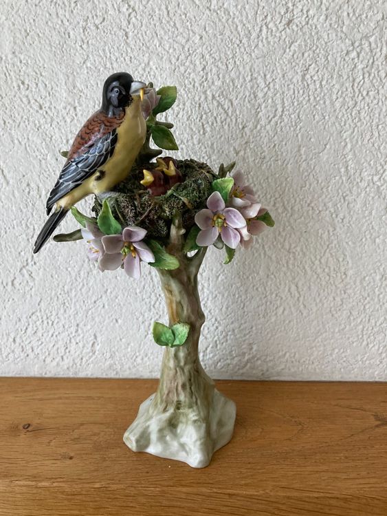 Balacoo Vogelfutterspritze Set – Mit 3 Spritzen & 5 Gebogenen Röhren Zum Füttern Von Babyvögeln & Papageien