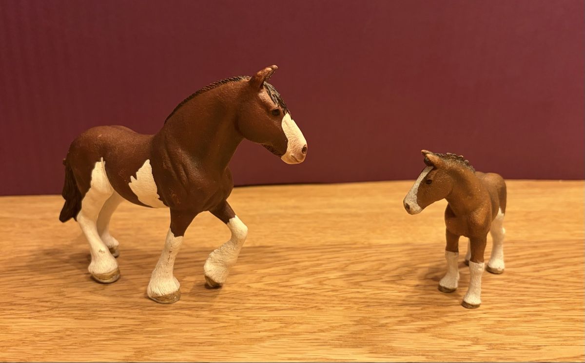 Schleich Spielzeuge: 2 Schleich Pferde, 2 Fohlen 1 Halfter – Gebraucht aus Blumenstein von rumba9 3