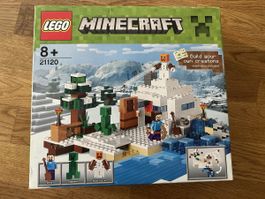 Lego Minecraft 21120