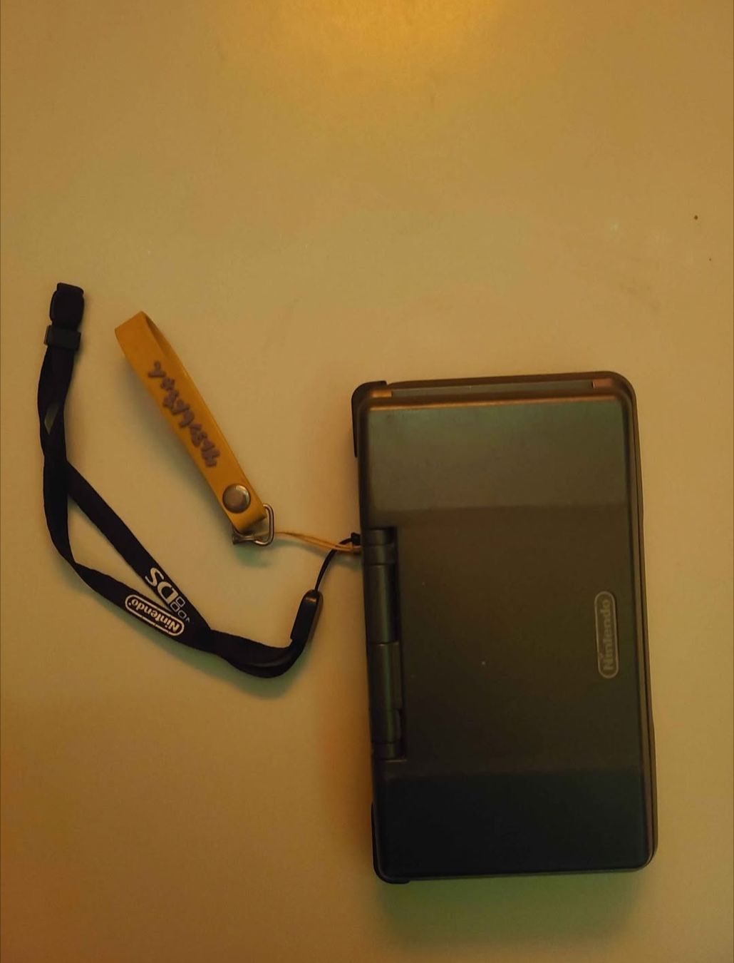 Nintendo Konsolen: Nintendo DS mit Ladekabel  – Gebraucht aus Möhlin von HomebrewLoverBasel 1