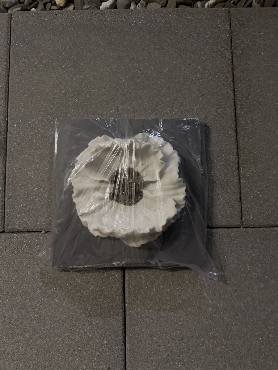 Alle Dekorationen: Dekorative Kunstblume, Winterdeko, neu & originalverpackt – Neu und originalverpackt aus Oberegg von Alepokemon