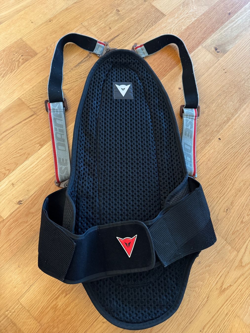 Dainese Protezioni & Imbottiture: Dainese Rückenprotektor – Usato da Rafz venduto da mic_z2sm 1