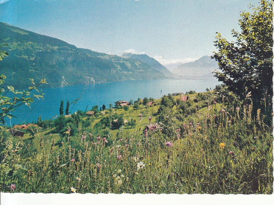 Cartoline postali: Krattingen 1967 – Usato da Bürglen TG venduto da StampGraf