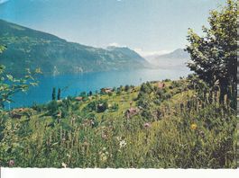 Krattingen 1967