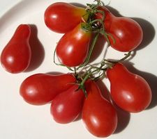 Red Pear Shaped - Cocktailtomate birnenförmig - 20 Samen