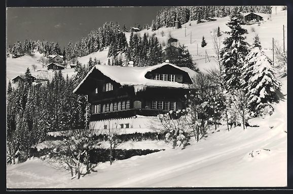 Cartoline postali: AK Wengen, Chalet Sunnehalde im Schnee – Usato da Berlin venduto da bartko-reher