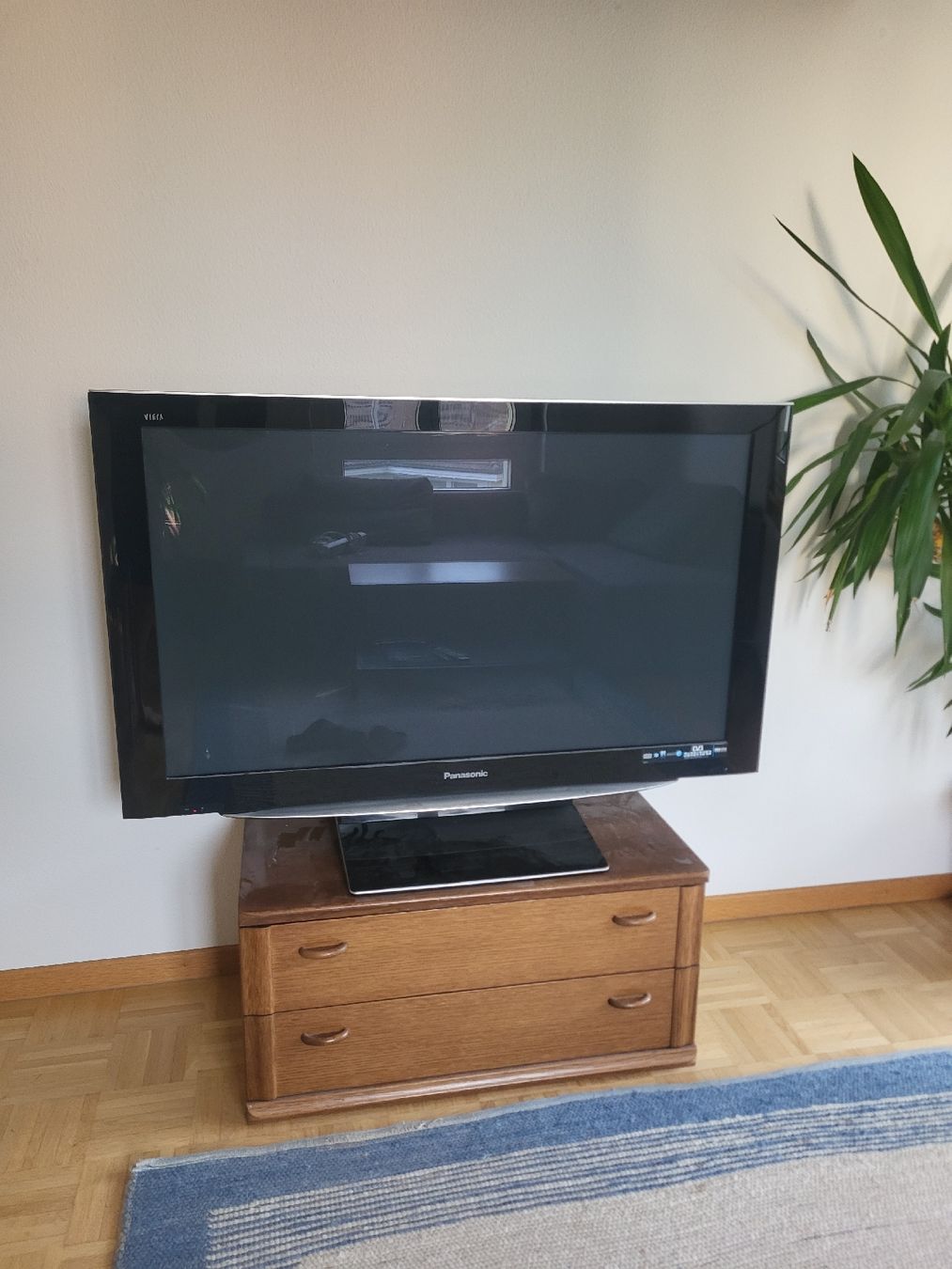 Panasonic Fernseher: Fernseher  – Gebraucht aus Bern von tae_bsb6