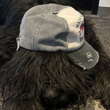 Profile image of Chickenjoe22