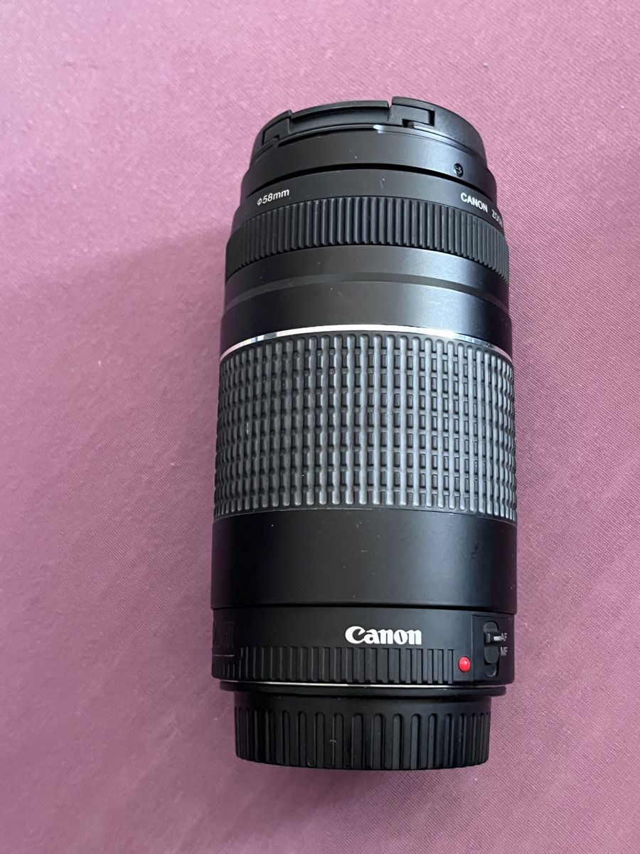 Canon Appareil photo: Objektiv---- – Neuf (Voir description) à Boll par iva_5mbc