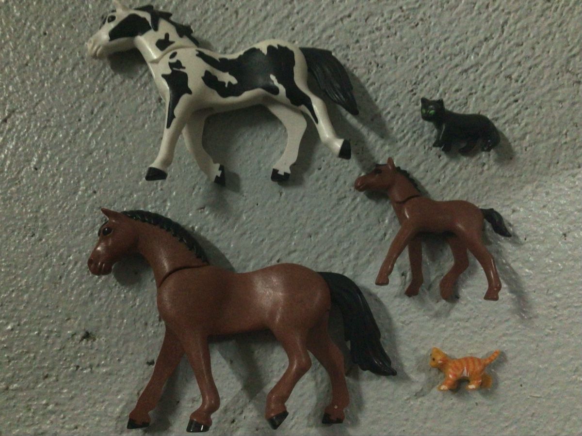 Giocattoli: Playmobil Pferdegestüt – Usato da Wettingen venduto da Kleinspecht