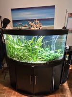 Aquarium mit Unterschrank Juwel Trigon 350 guter Zustand
