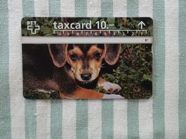 PTT Taxcard - Fr. 10.- - Hund - M33