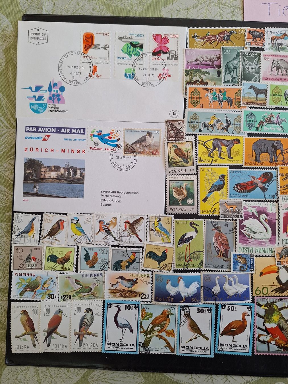Tutti i francobolli: Grosse Vögel und Tiere-Sammlung – Usato da Genolier venduto da Antoine30 2