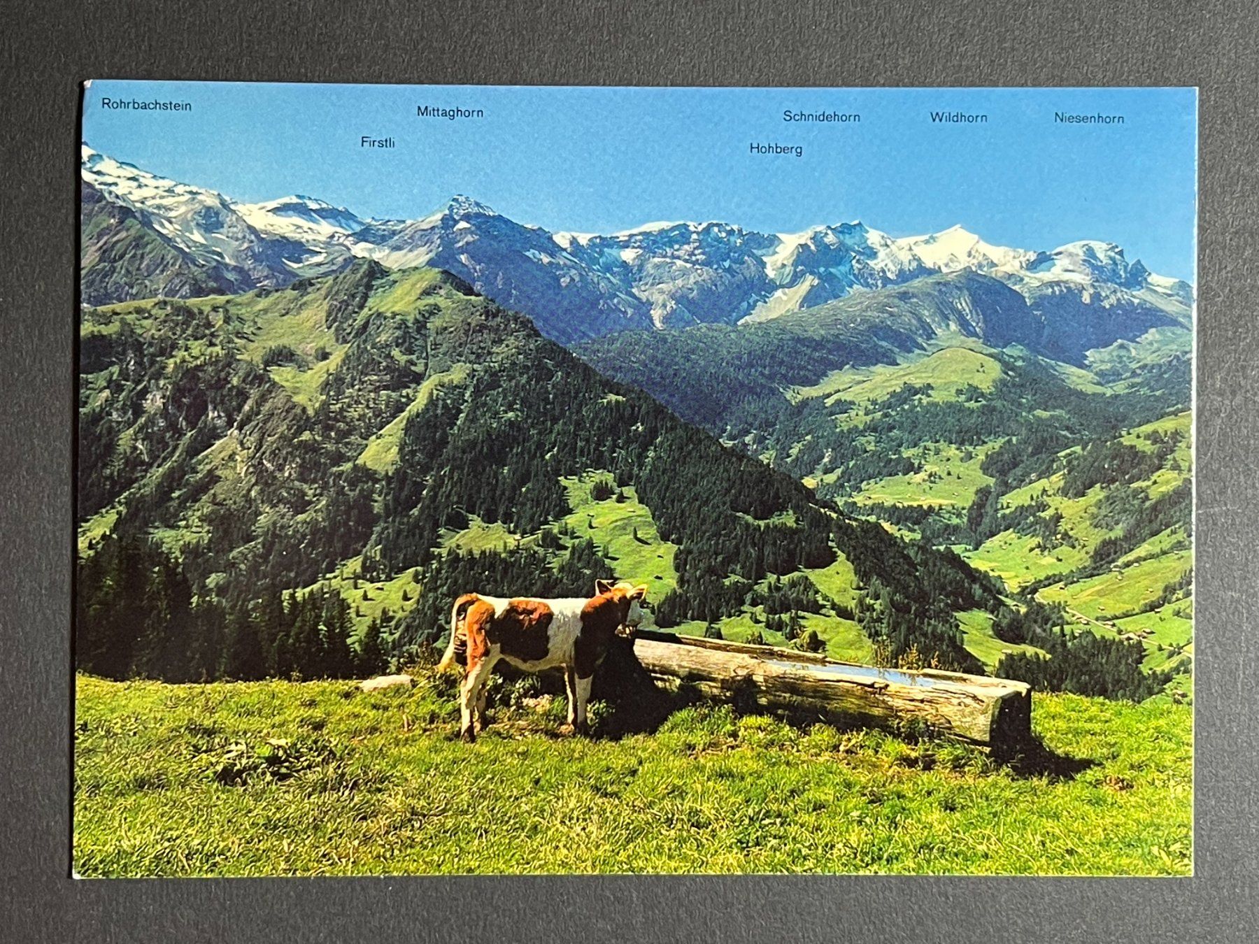 Cartoline postali: Lenk. Panorama vom Bühlberg – Usato da Steg VS venduto da _vinci_