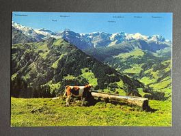 Lenk. Panorama vom Bühlberg