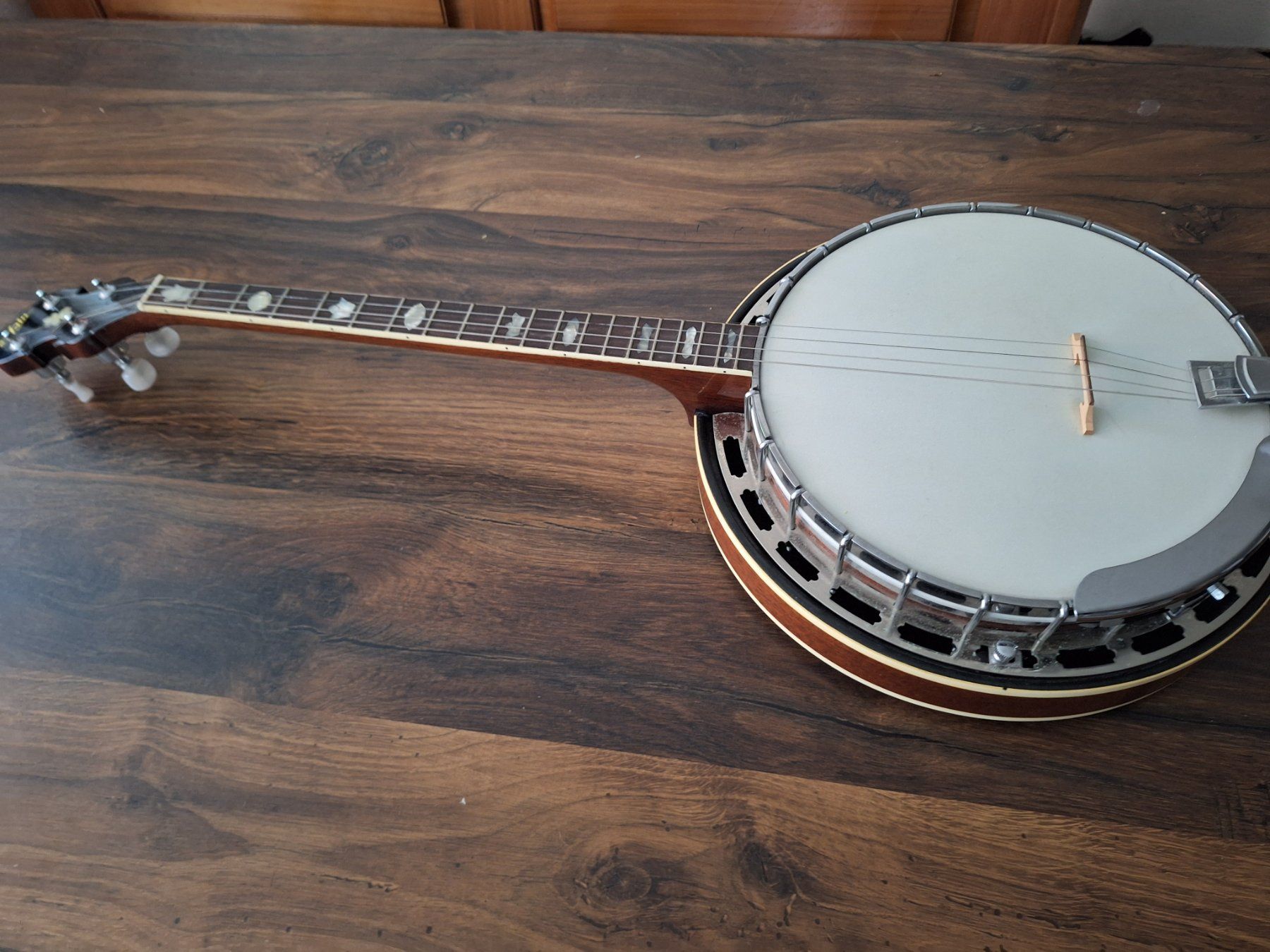 Aria Strumenti musicali: Banjo Aria – Usato da Laupersdorf venduto da walmeister62 1