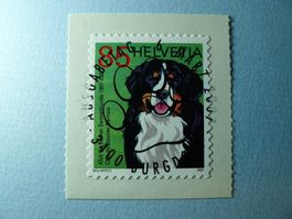 2007 Schweizer Club der Sennenhund ET Vollstempel 1227