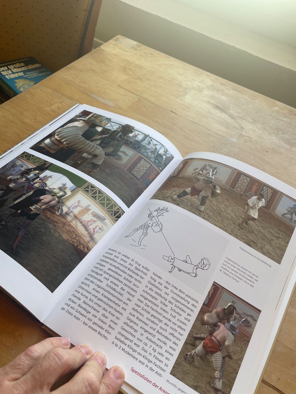 Livres: Gladiatoren von Marcus Junkelmann – D'occasion à Sent par ManuelB07 6
