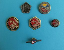 5 Anstecker und 1 Pin Bettmeralp Wallis