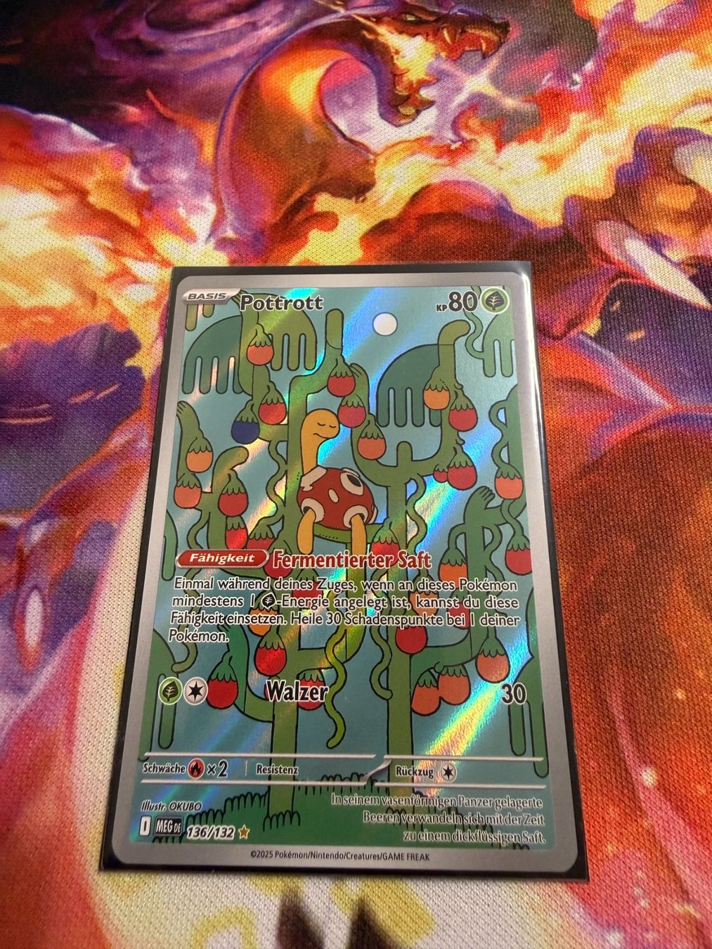 Pokémon Carte collezionabili: Pottrott (MEG 136) / Mega-Entwicklung – Nuovo (secondo la descrizione) da Bülach venduto da CherryBlu