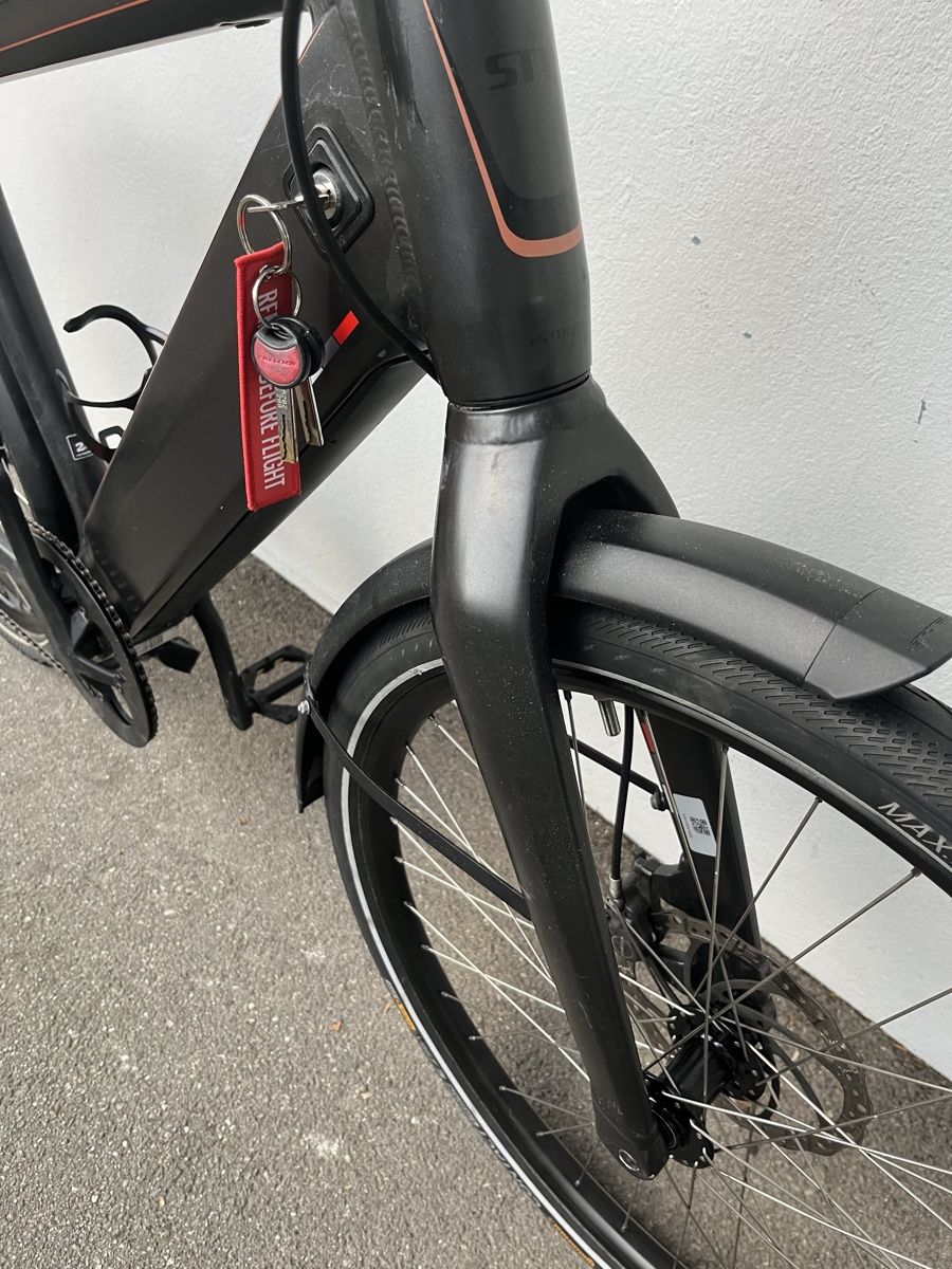 Automobili: Stromer ST1x Sport, 45km/h, Gr. L/20" – Usato da Biel/Bienne venduto da dalbotex 8