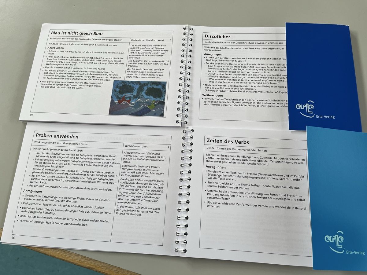Libri: 10x10 Lernimpulse - 3. und 4. Klasse – Usato da Escholzmatt venduto da Sarah_ 2