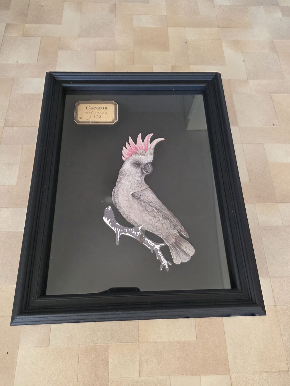 Tableaux: Tableau oiseau  – Neuf (Voir description) à Echallens par cam_n5cl