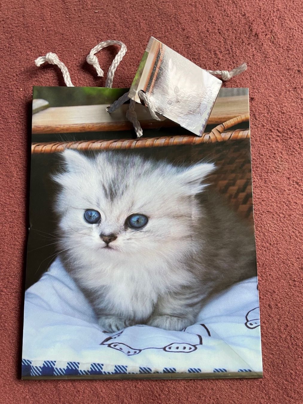 Carta: Katze Geschenk Geschenktüte Verpackung tüte – Nuovo (secondo la descrizione) da Buchs SG venduto da Billikatze5