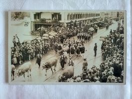 SG St. Gallen Olma Umzug? Appenzeller Alpaufzug