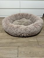 Cuccia cane
