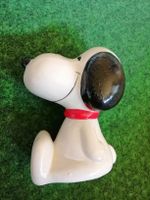Altes Snoopy Kässeli