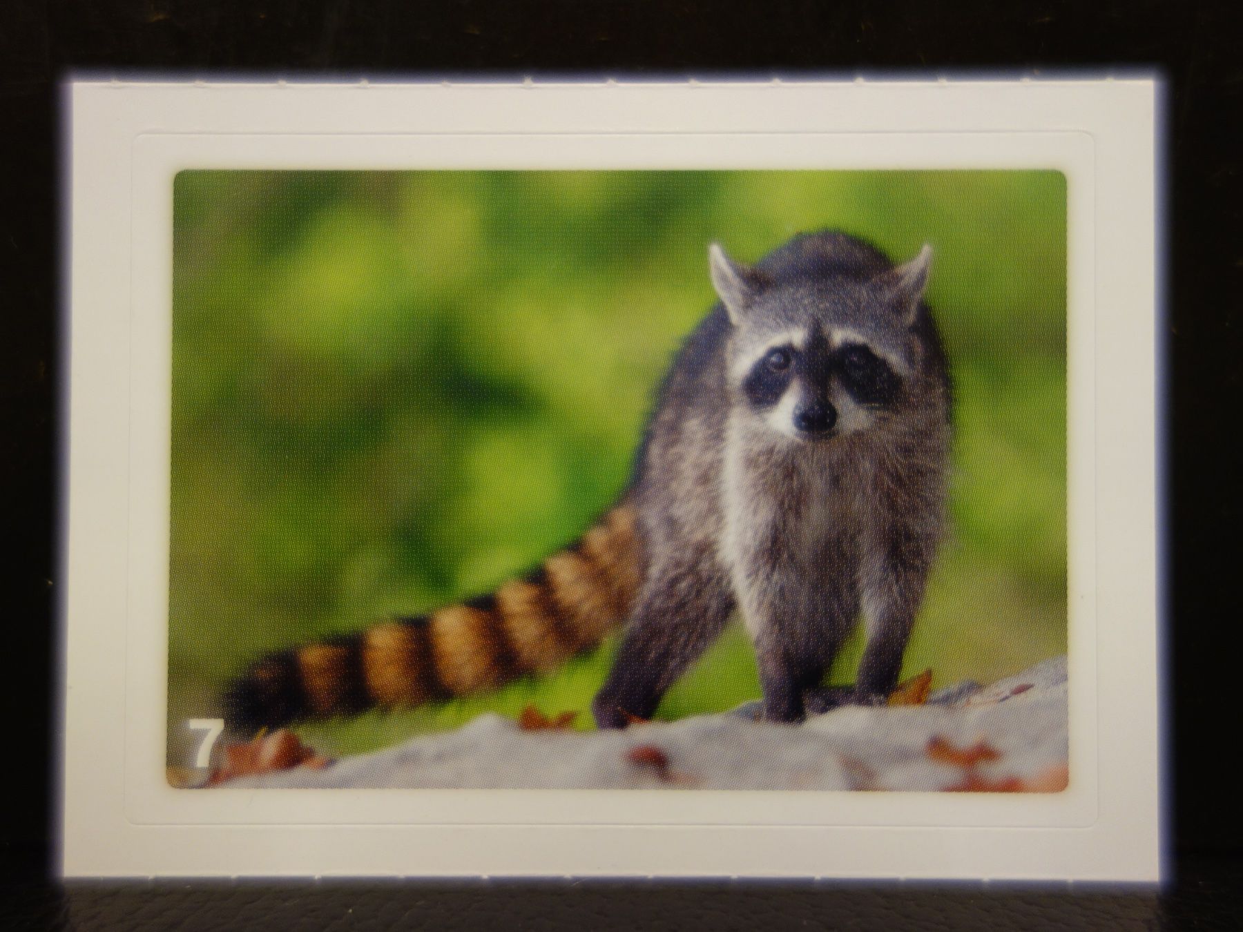 Migros Carte collezionabili: MIGROS MANIA Nature Detectives Nr. 7 – Nuovo e nell'imballaggio originale da Kerzers venduto da djstarsky73