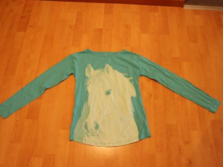 2 Langarmshirts f. Mädchen Gr. 164 rosa und türkisgrün Pferd