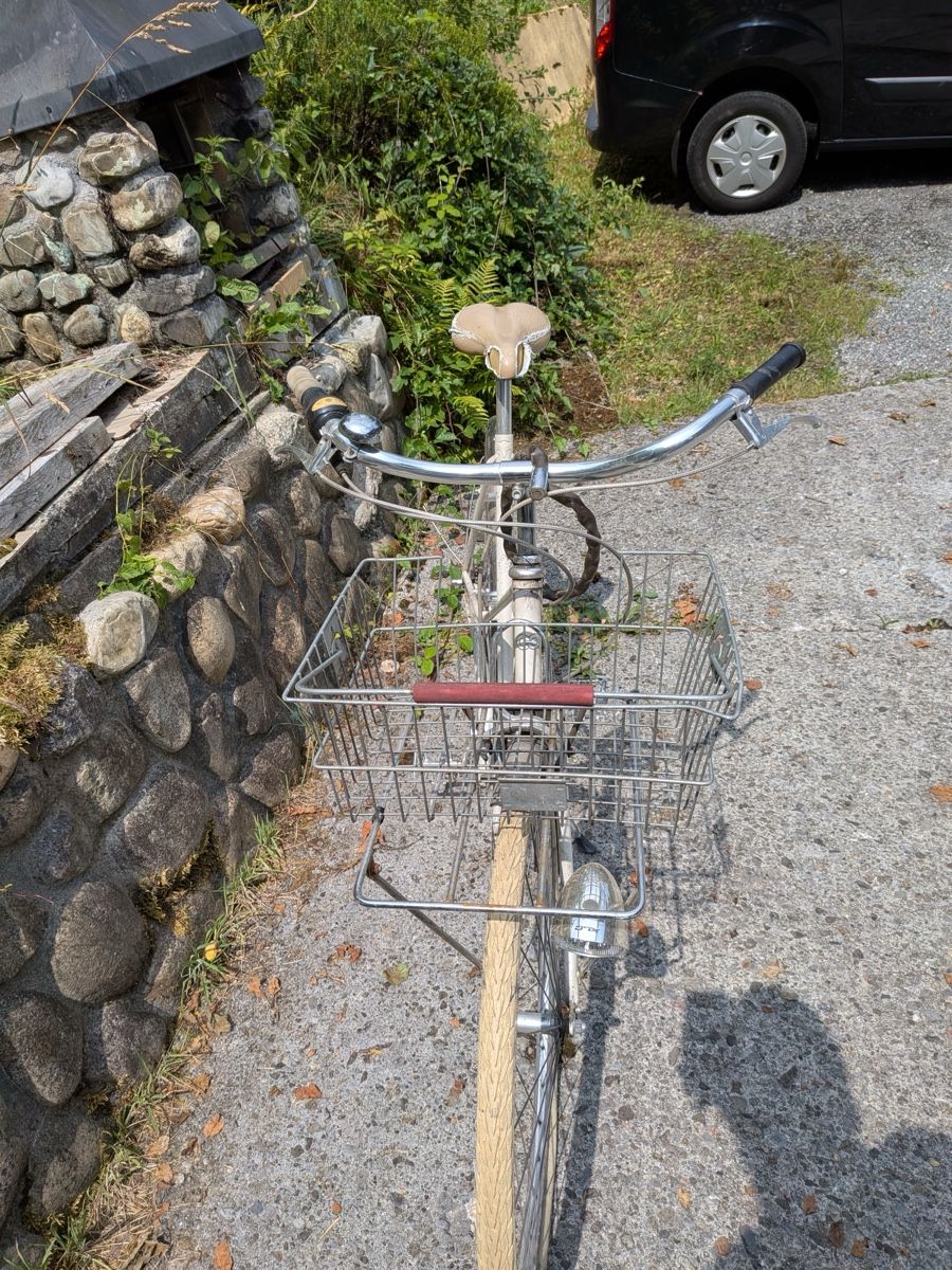 Biciclette: Creme Cycles Velo – Usato da Horw venduto da donia88 2