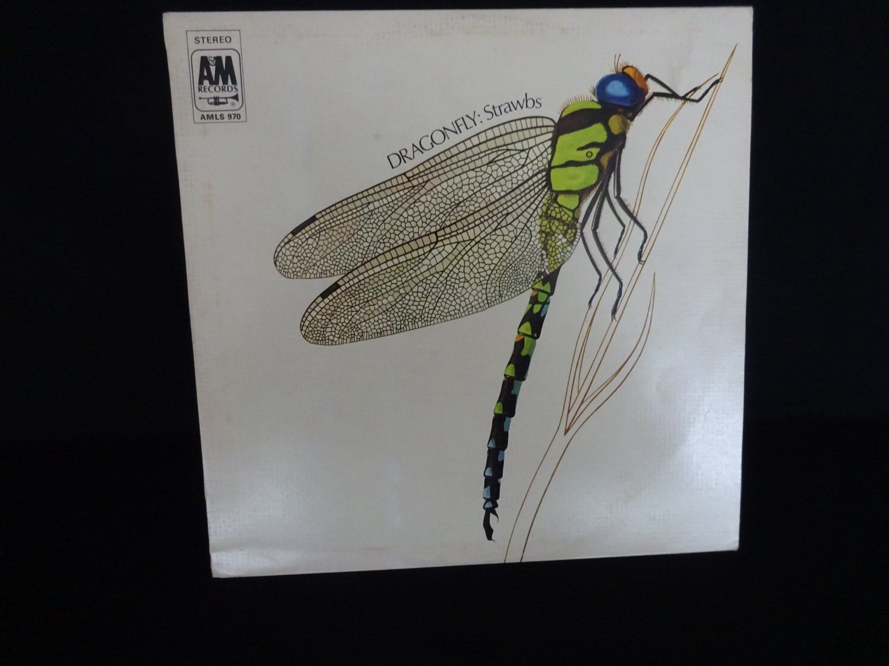 Dischi in vinile: LP Strawbs - Dragonfly von 1970 – Usato da Birmenstorf venduto da Poweroldies