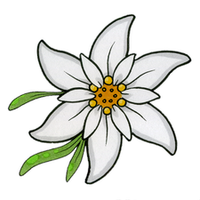 Profile image of Edelweissgirl_64